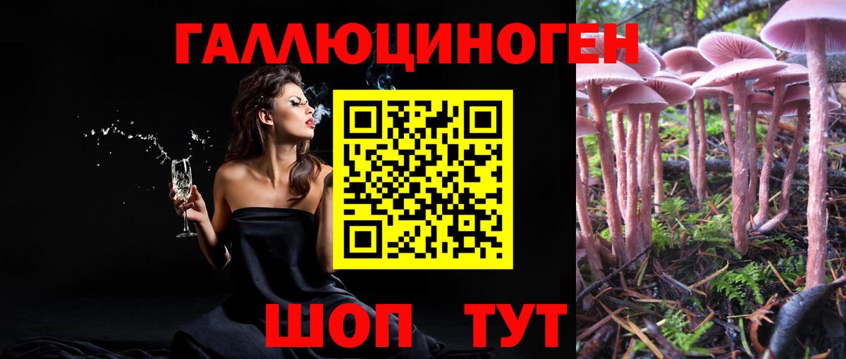 Галлюциногенные грибы мицелий  Псилоцибиновые грибы Psilocybine cubensis  Вход с VPN  Верхняя Пышма 