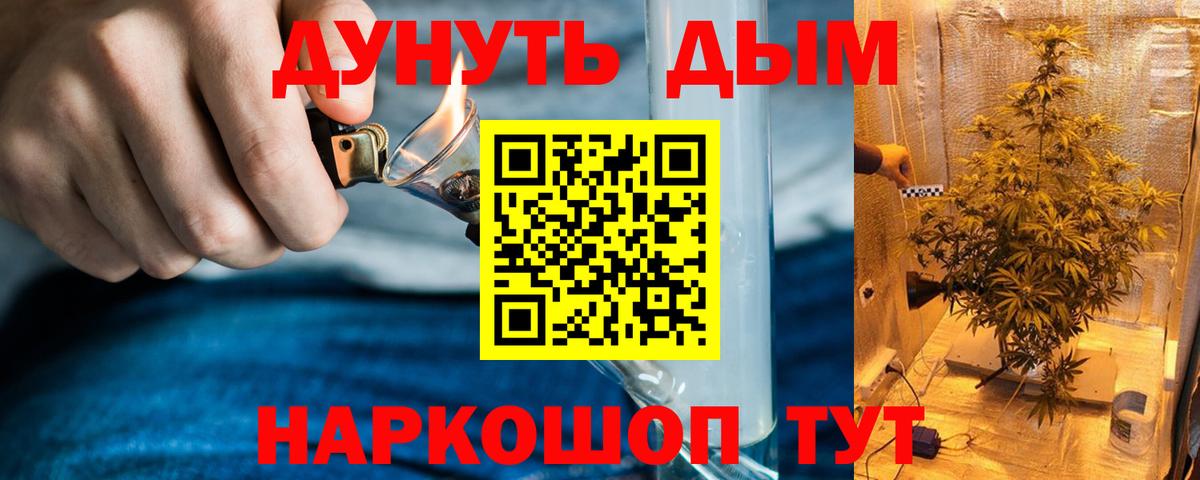 Шишки марихуана сатива  Вход с VPN  Конопля Bruce Banner  Конопля VHQ  Верхняя Пышма 